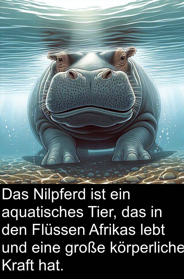 Tier: Das Nilpferd ist ein aquatisches Tier, das in den Flüssen Afrikas lebt und eine große körperliche Kraft hat.