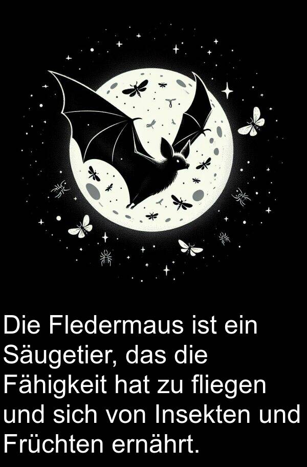 fliegen: Die Fledermaus ist ein Säugetier, das die Fähigkeit hat zu fliegen und sich von Insekten und Früchten ernährt.