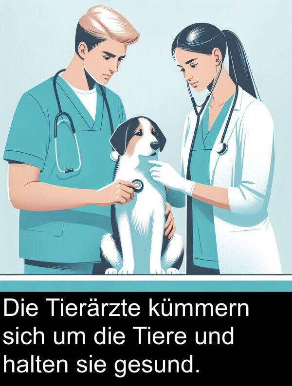 sich: Die Tierärzte kümmern sich um die Tiere und halten sie gesund.