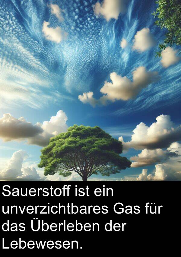 Sauerstoff: Sauerstoff ist ein unverzichtbares Gas für das Überleben der Lebewesen.