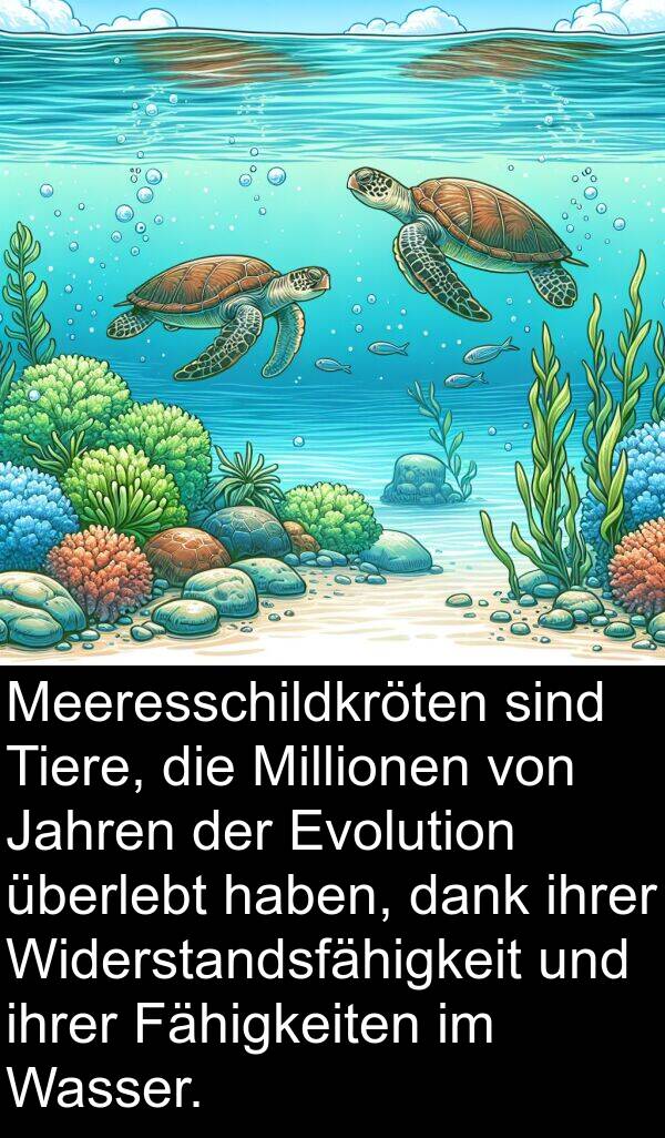 überlebt: Meeresschildkröten sind Tiere, die Millionen von Jahren der Evolution überlebt haben, dank ihrer Widerstandsfähigkeit und ihrer Fähigkeiten im Wasser.