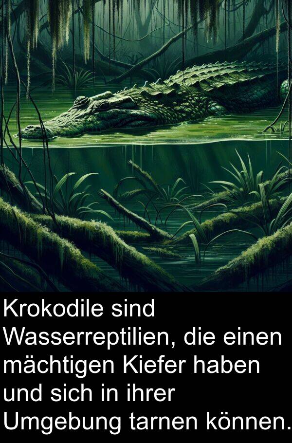 Kiefer: Krokodile sind Wasserreptilien, die einen mächtigen Kiefer haben und sich in ihrer Umgebung tarnen können.