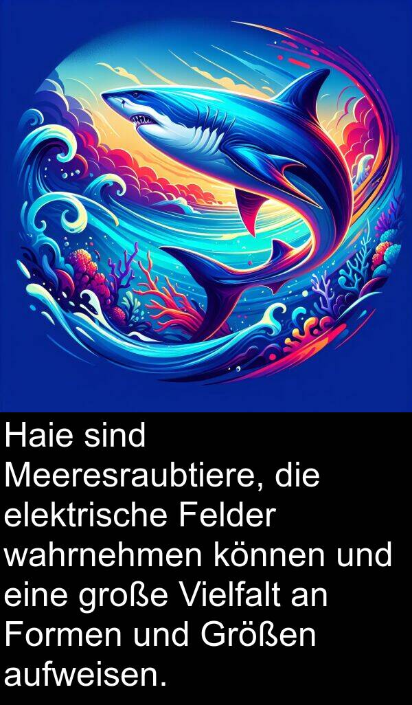 Formen: Haie sind Meeresraubtiere, die elektrische Felder wahrnehmen können und eine große Vielfalt an Formen und Größen aufweisen.