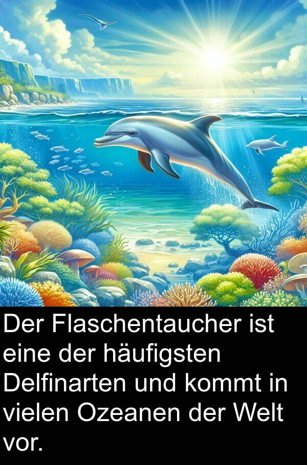 Ozeanen: Der Flaschentaucher ist eine der häufigsten Delfinarten und kommt in vielen Ozeanen der Welt vor.