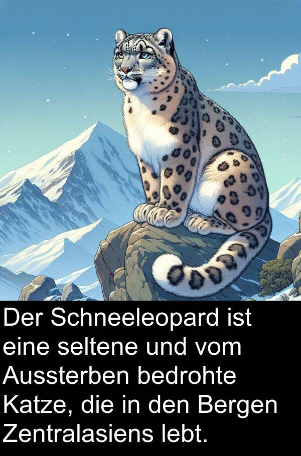 Katze: Der Schneeleopard ist eine seltene und vom Aussterben bedrohte Katze, die in den Bergen Zentralasiens lebt.