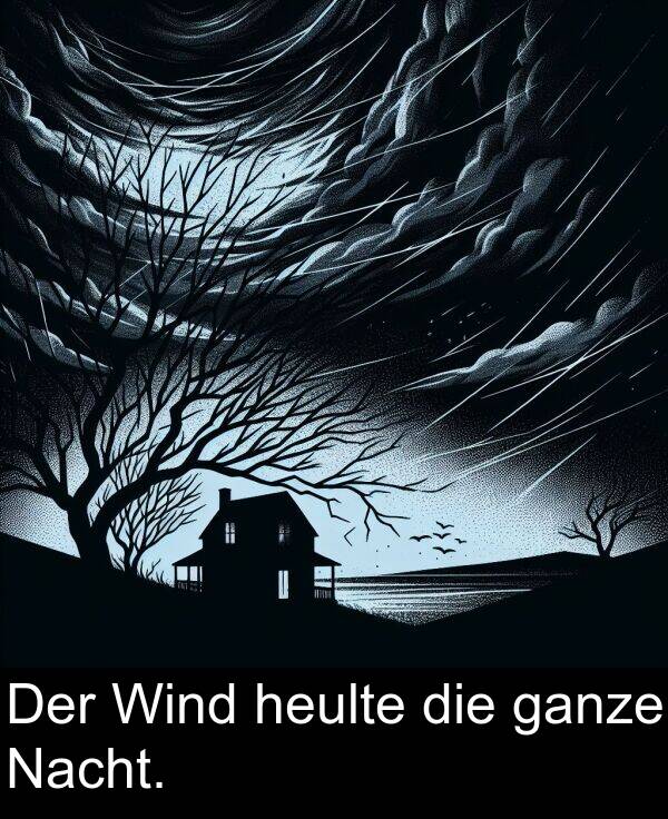 Nacht: Der Wind heulte die ganze Nacht.