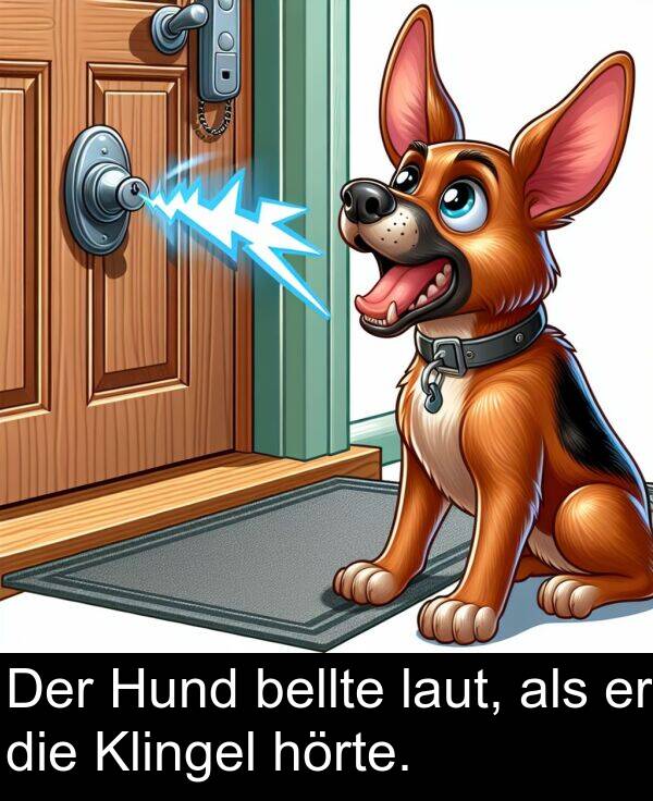 laut: Der Hund bellte laut, als er die Klingel hörte.