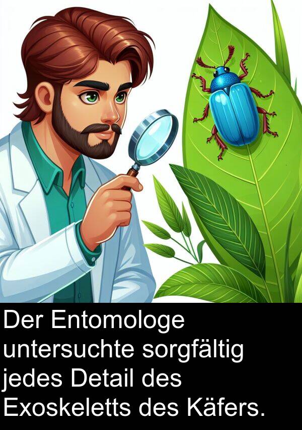 Detail: Der Entomologe untersuchte sorgfältig jedes Detail des Exoskeletts des Käfers.