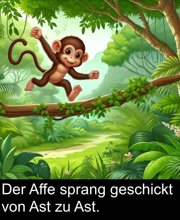 Affe: Der Affe sprang geschickt von Ast zu Ast.