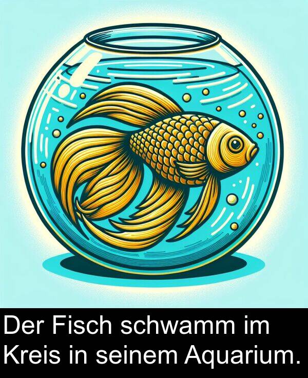 Fisch: Der Fisch schwamm im Kreis in seinem Aquarium.