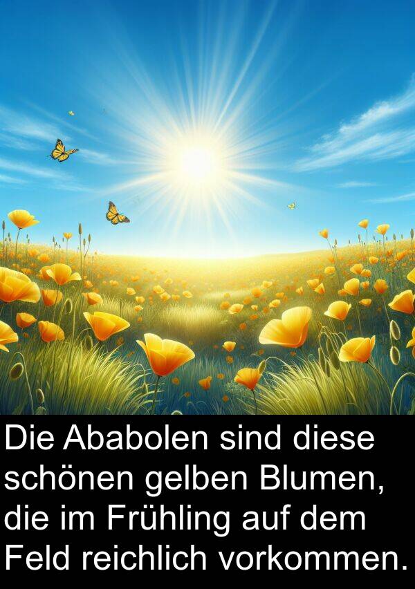 Ababolen: Die Ababolen sind diese schönen gelben Blumen, die im Frühling auf dem Feld reichlich vorkommen.