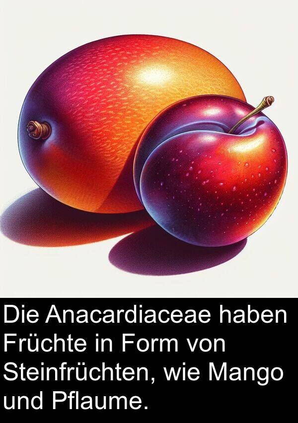 Form: Die Anacardiaceae haben Früchte in Form von Steinfrüchten, wie Mango und Pflaume.