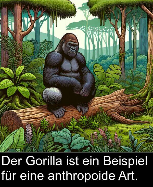 für: Der Gorilla ist ein Beispiel für eine anthropoide Art.