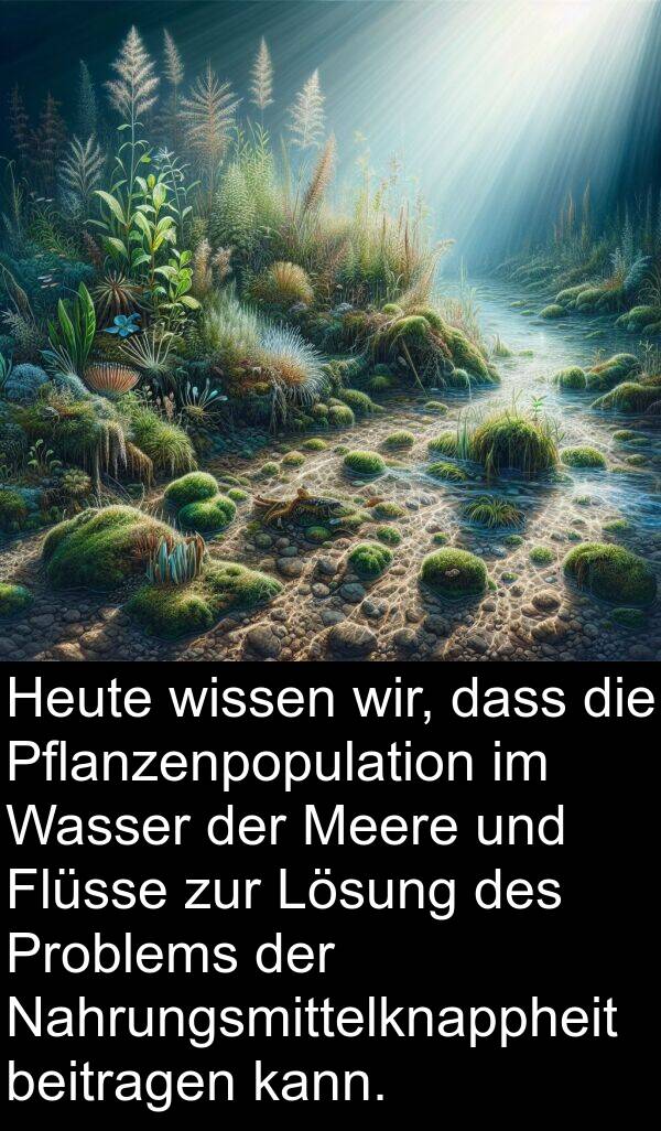 Flüsse: Heute wissen wir, dass die Pflanzenpopulation im Wasser der Meere und Flüsse zur Lösung des Problems der Nahrungsmittelknappheit beitragen kann.