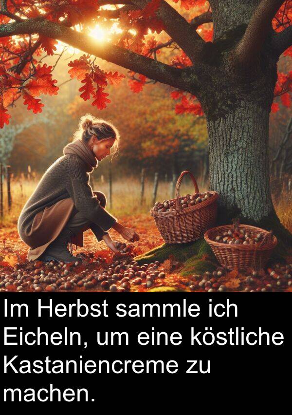 machen: Im Herbst sammle ich Eicheln, um eine köstliche Kastaniencreme zu machen.