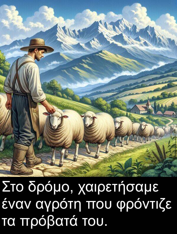 αγρότη: Στο δρόμο, χαιρετήσαμε έναν αγρότη που φρόντιζε τα πρόβατά του.