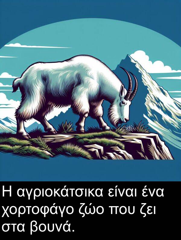 αγριοκάτσικα: Η αγριοκάτσικα είναι ένα χορτοφάγο ζώο που ζει στα βουνά.