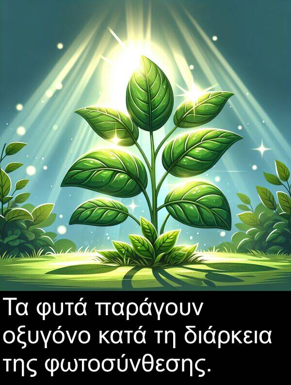 διάρκεια: Τα φυτά παράγουν οξυγόνο κατά τη διάρκεια της φωτοσύνθεσης.