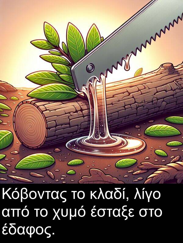 έδαφος: Κόβοντας το κλαδί, λίγο από το χυμό έσταξε στο έδαφος.