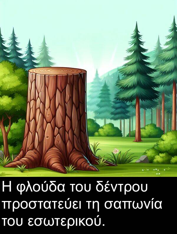 σαπωνία: Η φλούδα του δέντρου προστατεύει τη σαπωνία του εσωτερικού.