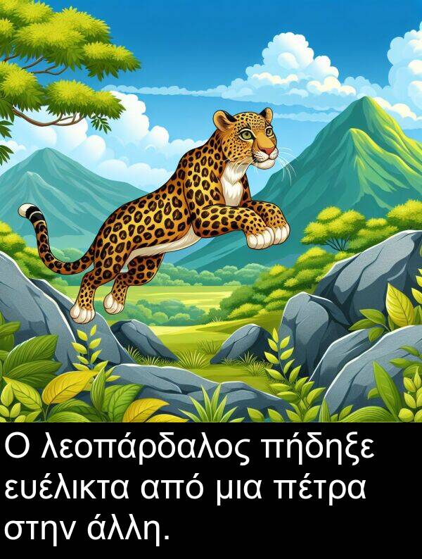 λεοπάρδαλος: Ο λεοπάρδαλος πήδηξε ευέλικτα από μια πέτρα στην άλλη.