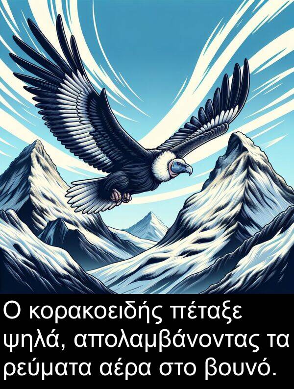 ρεύματα: Ο κορακοειδής πέταξε ψηλά, απολαμβάνοντας τα ρεύματα αέρα στο βουνό.