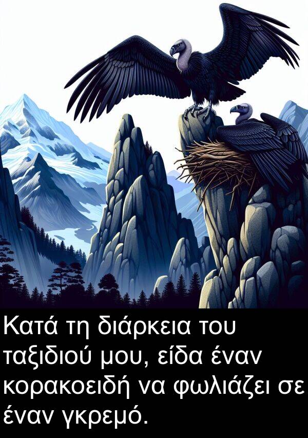 ταξιδιού: Κατά τη διάρκεια του ταξιδιού μου, είδα έναν κορακοειδή να φωλιάζει σε έναν γκρεμό.