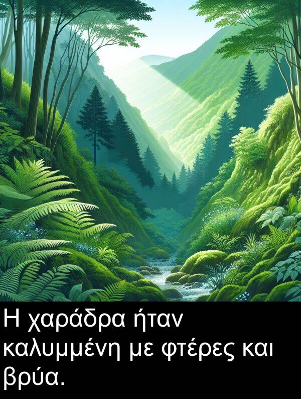 χαράδρα: Η χαράδρα ήταν καλυμμένη με φτέρες και βρύα.