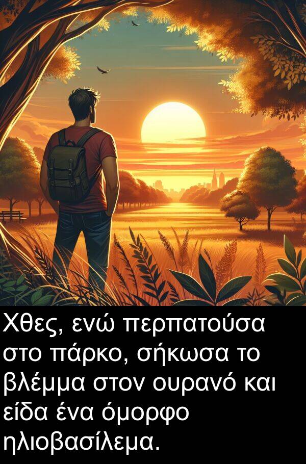 σήκωσα: Χθες, ενώ περπατούσα στο πάρκο, σήκωσα το βλέμμα στον ουρανό και είδα ένα όμορφο ηλιοβασίλεμα.