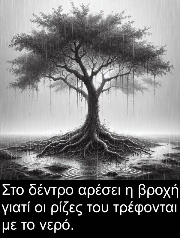 δέντρο: Στο δέντρο αρέσει η βροχή γιατί οι ρίζες του τρέφονται με το νερό.