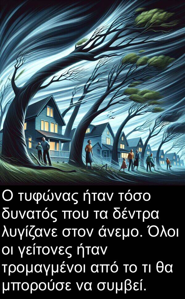 γείτονες: Ο τυφώνας ήταν τόσο δυνατός που τα δέντρα λυγίζανε στον άνεμο. Όλοι οι γείτονες ήταν τρομαγμένοι από το τι θα μπορούσε να συμβεί.