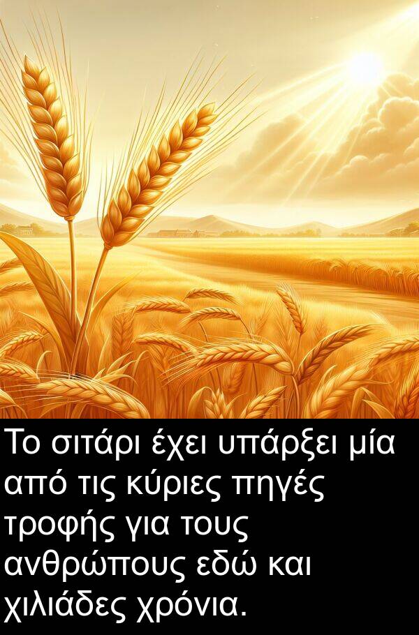 σιτάρι: Το σιτάρι έχει υπάρξει μία από τις κύριες πηγές τροφής για τους ανθρώπους εδώ και χιλιάδες χρόνια.