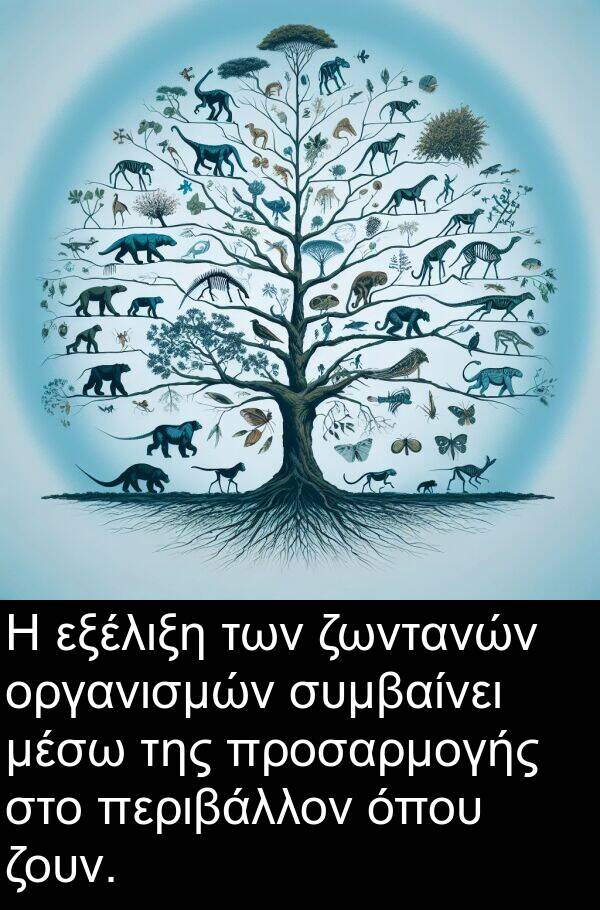 ζωντανών: Η εξέλιξη των ζωντανών οργανισμών συμβαίνει μέσω της προσαρμογής στο περιβάλλον όπου ζουν.