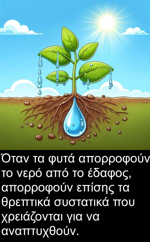 έδαφος: Όταν τα φυτά απορροφούν το νερό από το έδαφος, απορροφούν επίσης τα θρεπτικά συστατικά που χρειάζονται για να αναπτυχθούν.