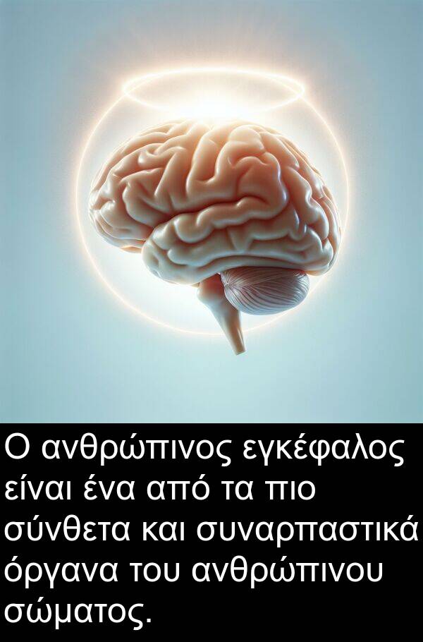όργανα: Ο ανθρώπινος εγκέφαλος είναι ένα από τα πιο σύνθετα και συναρπαστικά όργανα του ανθρώπινου σώματος.
