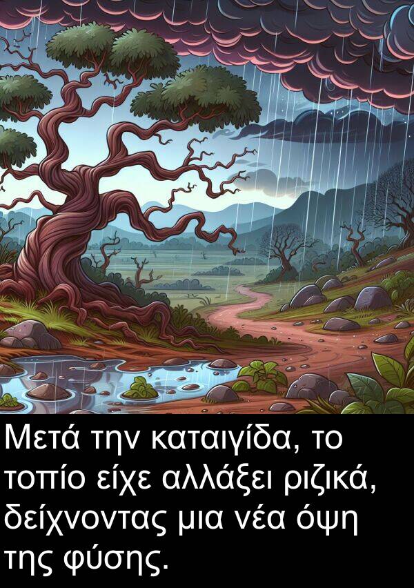 ριζικά: Μετά την καταιγίδα, το τοπίο είχε αλλάξει ριζικά, δείχνοντας μια νέα όψη της φύσης.