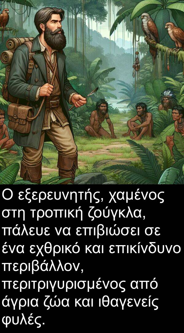 ζούγκλα: Ο εξερευνητής, χαμένος στη τροπική ζούγκλα, πάλευε να επιβιώσει σε ένα εχθρικό και επικίνδυνο περιβάλλον, περιτριγυρισμένος από άγρια ζώα και ιθαγενείς φυλές.