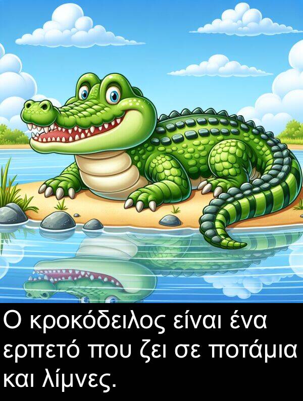 ζει: Ο κροκόδειλος είναι ένα ερπετό που ζει σε ποτάμια και λίμνες.