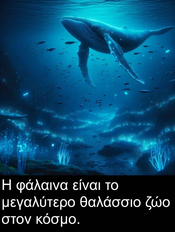 ζώο: Η φάλαινα είναι το μεγαλύτερο θαλάσσιο ζώο στον κόσμο.