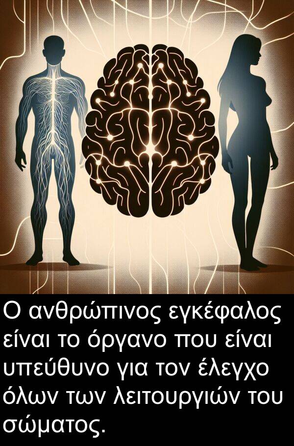 λειτουργιών: Ο ανθρώπινος εγκέφαλος είναι το όργανο που είναι υπεύθυνο για τον έλεγχο όλων των λειτουργιών του σώματος.