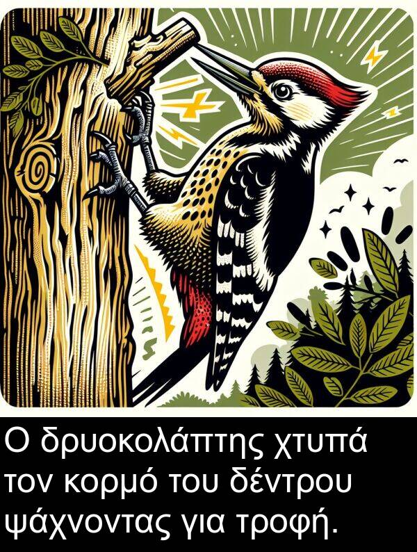 ψάχνοντας: Ο δρυοκολάπτης χτυπά τον κορμό του δέντρου ψάχνοντας για τροφή.
