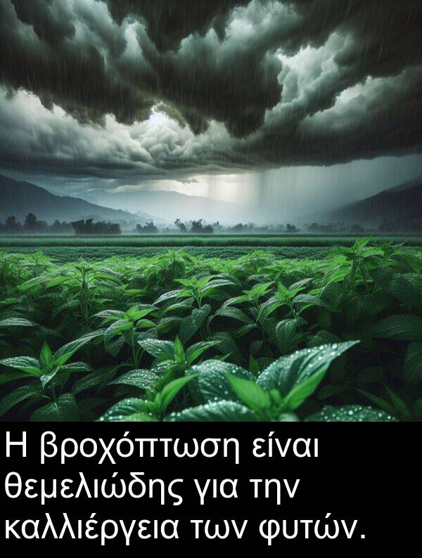 φυτών: Η βροχόπτωση είναι θεμελιώδης για την καλλιέργεια των φυτών.