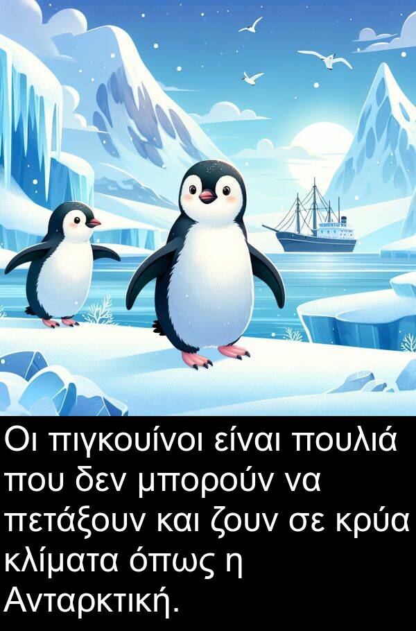 ζουν: Οι πιγκουίνοι είναι πουλιά που δεν μπορούν να πετάξουν και ζουν σε κρύα κλίματα όπως η Ανταρκτική.