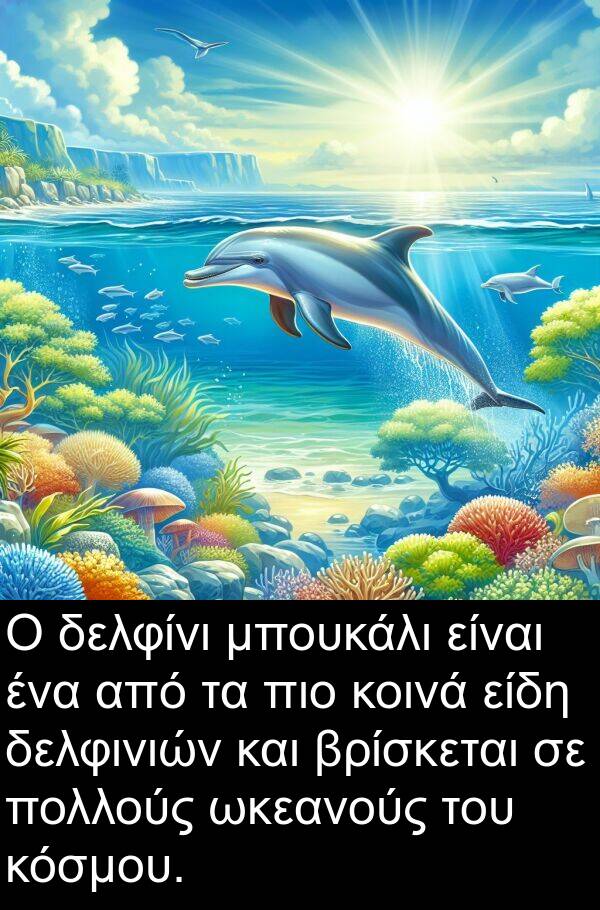 δελφινιών: Ο δελφίνι μπουκάλι είναι ένα από τα πιο κοινά είδη δελφινιών και βρίσκεται σε πολλούς ωκεανούς του κόσμου.