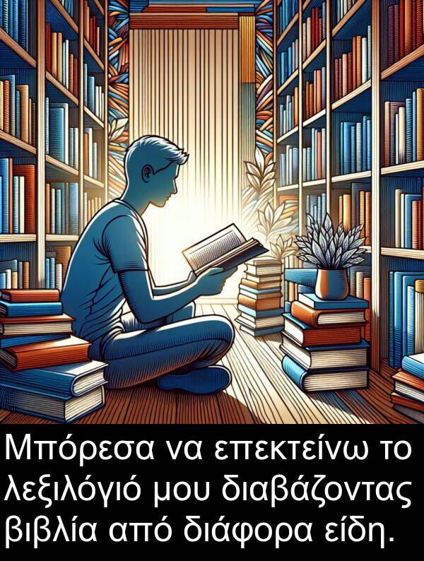 λεξιλόγιό: Μπόρεσα να επεκτείνω το λεξιλόγιό μου διαβάζοντας βιβλία από διάφορα είδη.