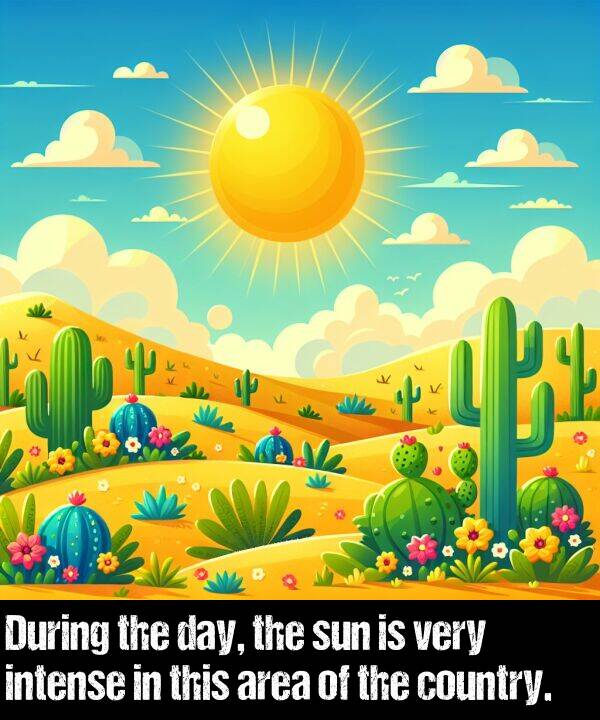 area: During the day, the sun is very intense in this area of the country.