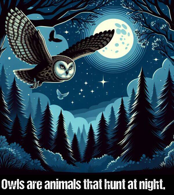 that: Owls are animals that hunt at night.