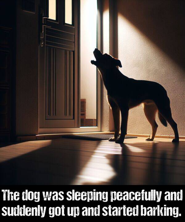 peacefully: The dog was sleeping peacefully and suddenly got up and started barking.