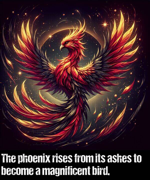 bird: The phoenix rises from its ashes to become a magnificent bird.