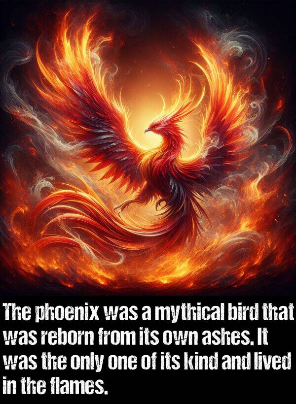 bird: The phoenix was a mythical bird that was reborn from its own ashes. It was the only one of its kind and lived in the flames.